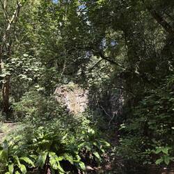gestern wandern gewesen - ich kann das nicht mehr mit diesen menschenmengen
