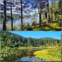 Schluchsee