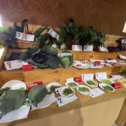 Vegetables