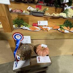 More vegetables