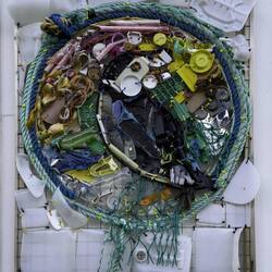 Trash-art from "Global Challenges" ... find the puffin.