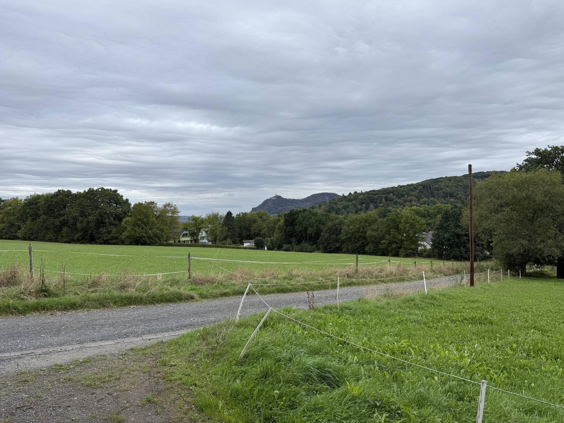 Blick zum Drachenfels