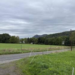 Blick zum Drachenfels