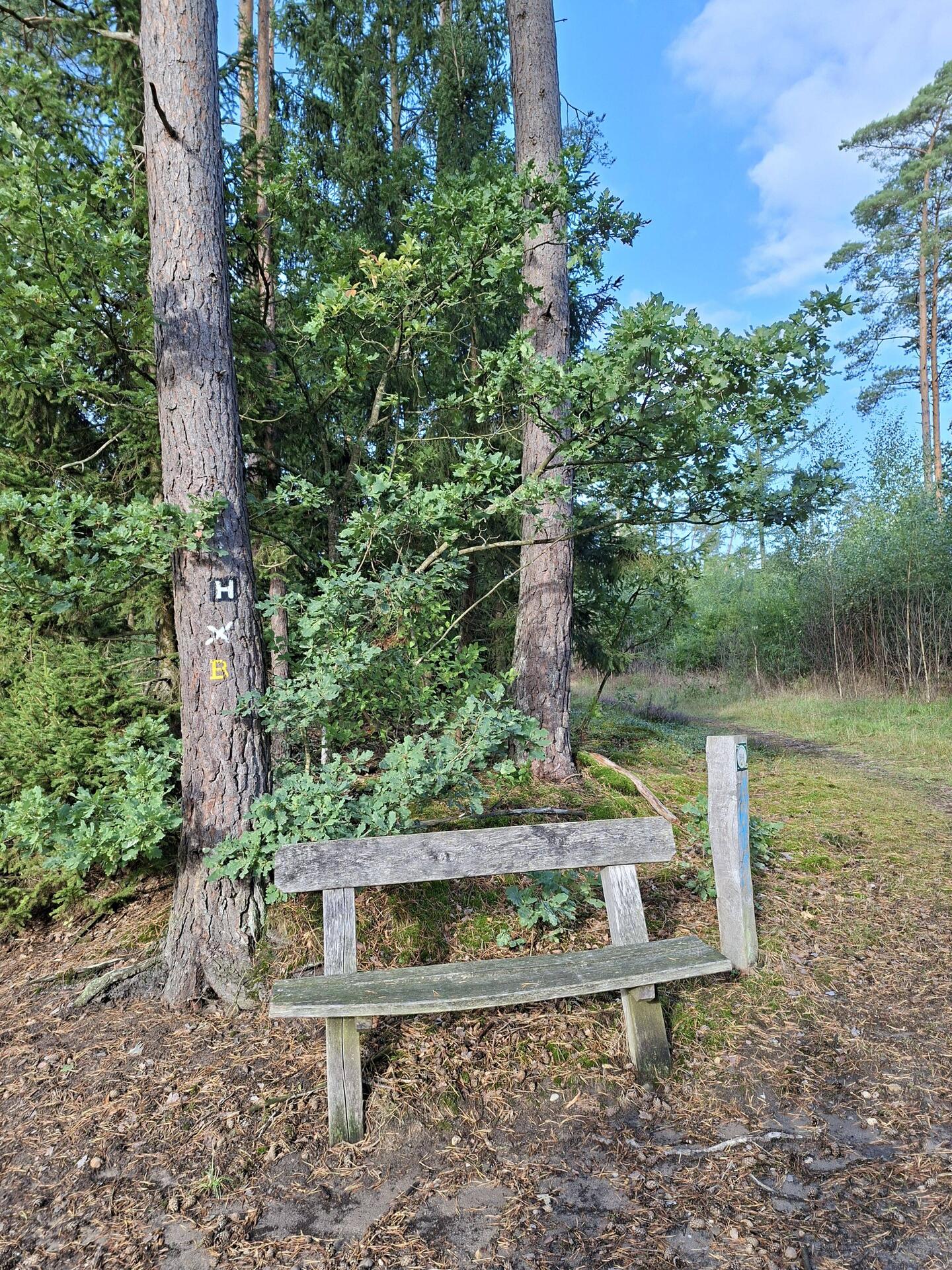 Zurück auf dem Heidschnuckenweg...