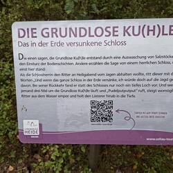 Hansi ist nicht gelaufen, der alte Angsthase😱