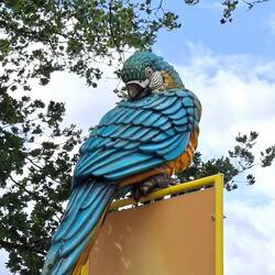 Tier des Tages I