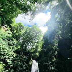Kurz noch Waldbaden samt Wasserfall ☺️.