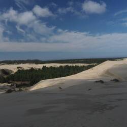 The heavy moisture in the air permits lot of vegetation to grow in these dunes