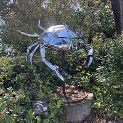 The dredded Silver Crab