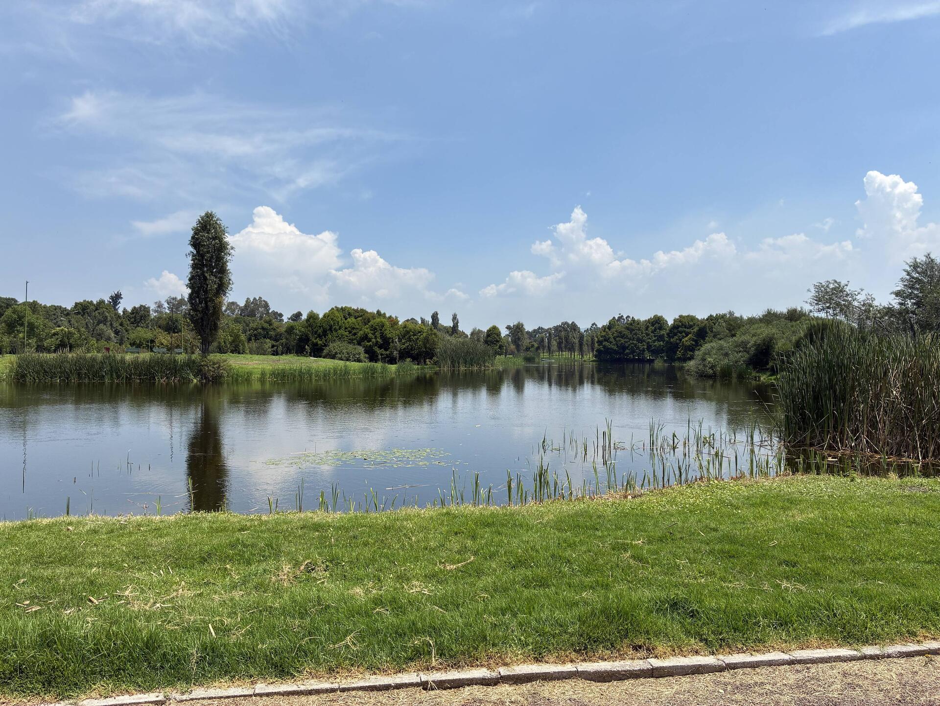 A general view of what the area looks like