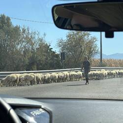 Auf dem Weg in unser Örtchen...