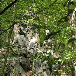 Links oben das Schwer im Stein