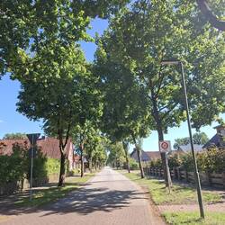Eindrücke aus Wietzendorf