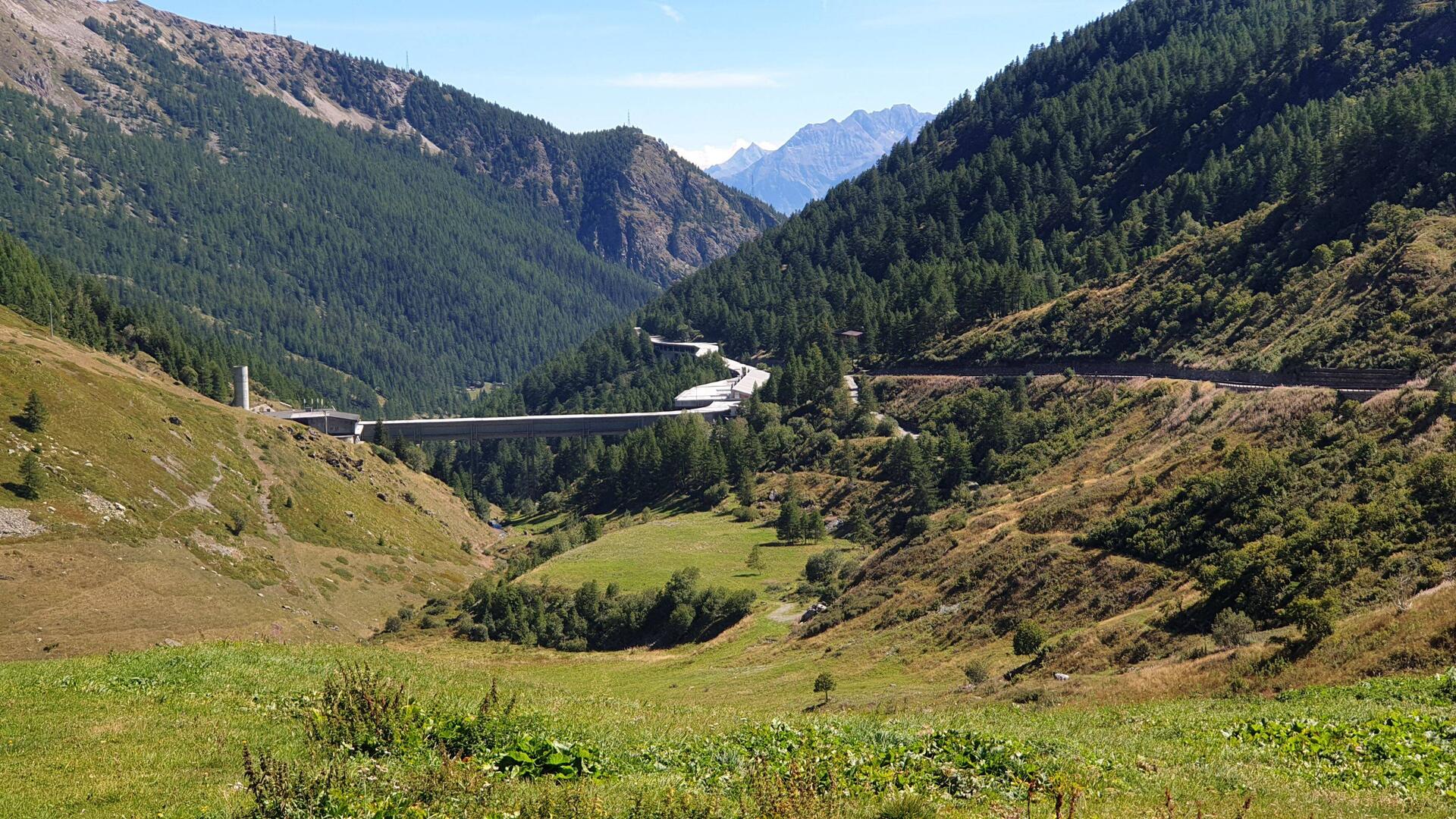 Die Autobahnschlange in den Tunnel