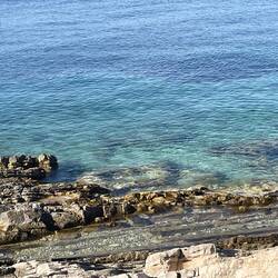 Water is so clear.