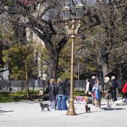 Treff im Park mit teils fein gekleideten Hunden, von denen es Unzählige gibt
