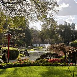 Der japanische Garten (von außen)