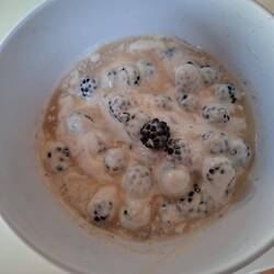 Mûres cueillies hier, dans une ricotta citronnée, arrosé de raki au miel crétois