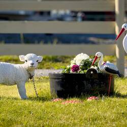 Lawn ornaments on my tour route.