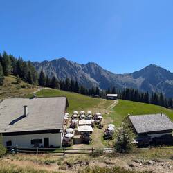 Staffel Alm