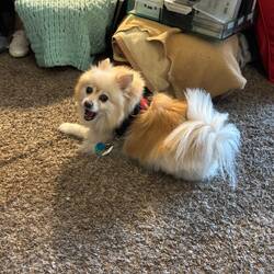Bailey