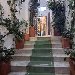 ... und so geht's dahinter weiter ins Hostel Botanico