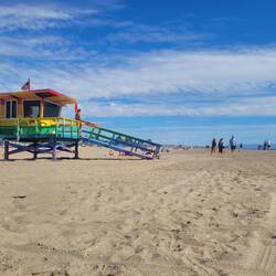 Bay Watch...