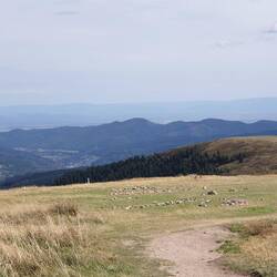 Ganz hinten der Schwarzwald