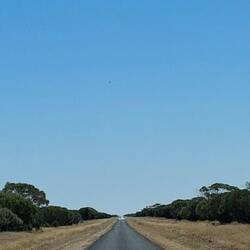 Driving to Muttaburra
