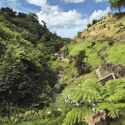 Parque Natural da Ribeira dos Caldeirões