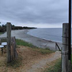 A beach walk on our first grey day