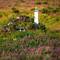 Looks like a turf house on the hillside of Hornøya Island.