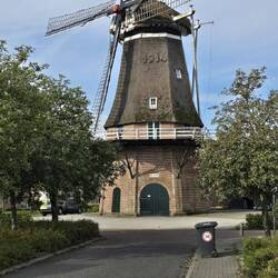 Es gibt sie noch, Windmühlen