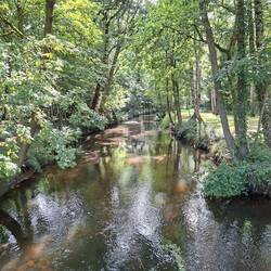 Die Örtze in Müden