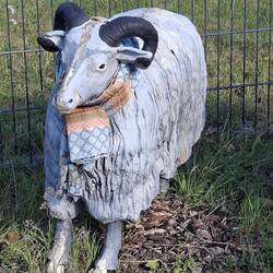 Tier des Tages🐏
