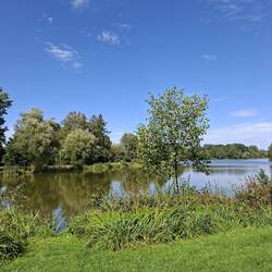 Der Heidesee
