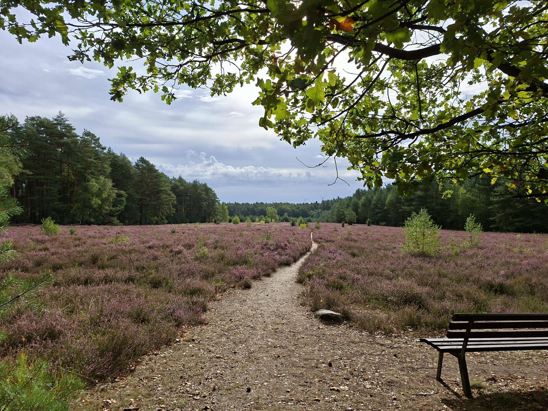 Mit Heide ging's los...
