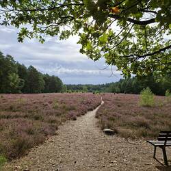 Mit Heide ging's los...