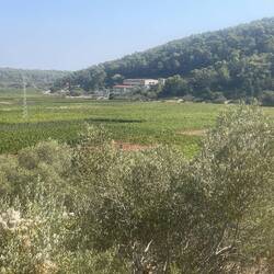 It's a valley with hills all around