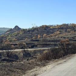 Derniers paysages brûlés de la région de Fermoselle 😭