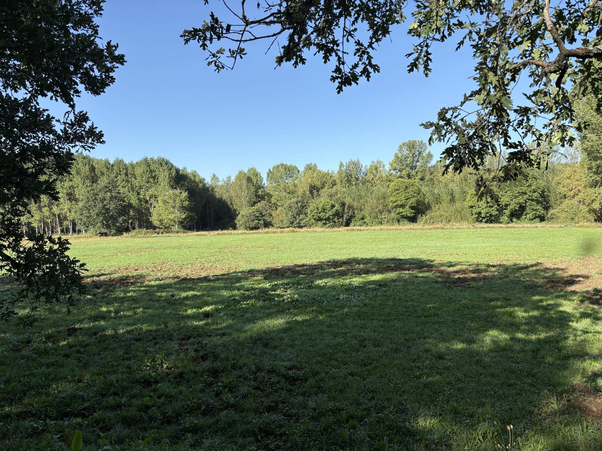 Pretty pasture