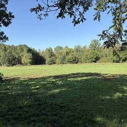 Pretty pasture