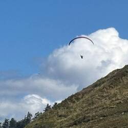 One of two hang gliders at Yaquina Head