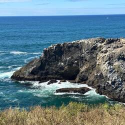 Island of the point of Yaquina Head