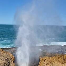 Wie ein Geysir 🤩