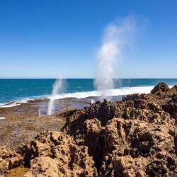 Blowholes - Wau 🤩