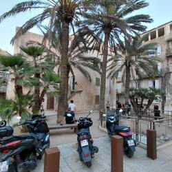 A perfect gathering place for the locals to come out and play petanque