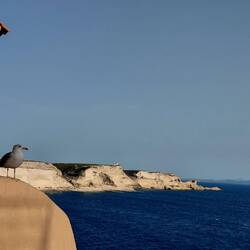 Seagulls view of the limestone cliffs with Sardinia in the background