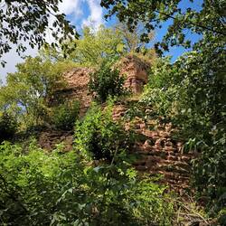 Burgruine
