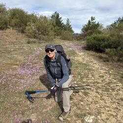 Purple flowers dot the ground at the pass